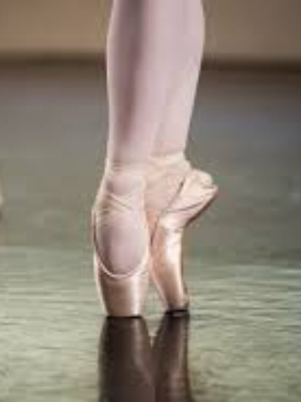 NWT Ballet Pointe Bloch Synergy  Shoes